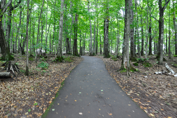 paved trail